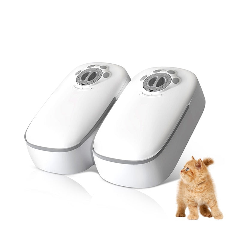 Comedouro Duplo e Automático Para Gatos com Temporizador - Frete Grátis