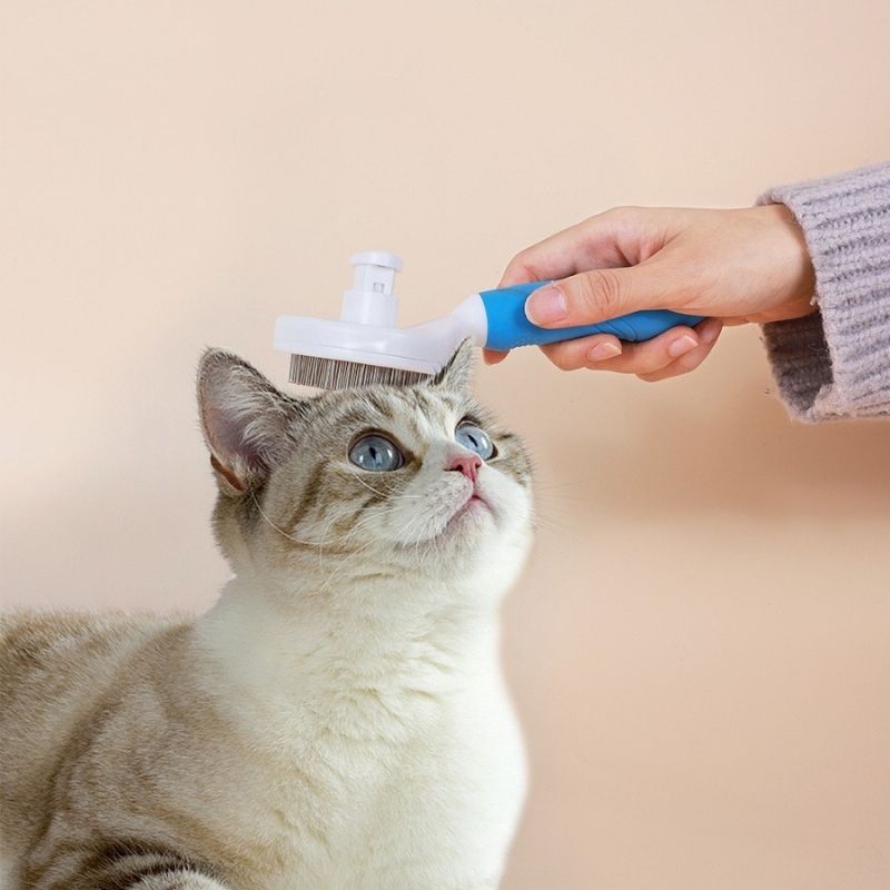 Escova Removedora - Tira Pelos Para Pets - Frete Grátis